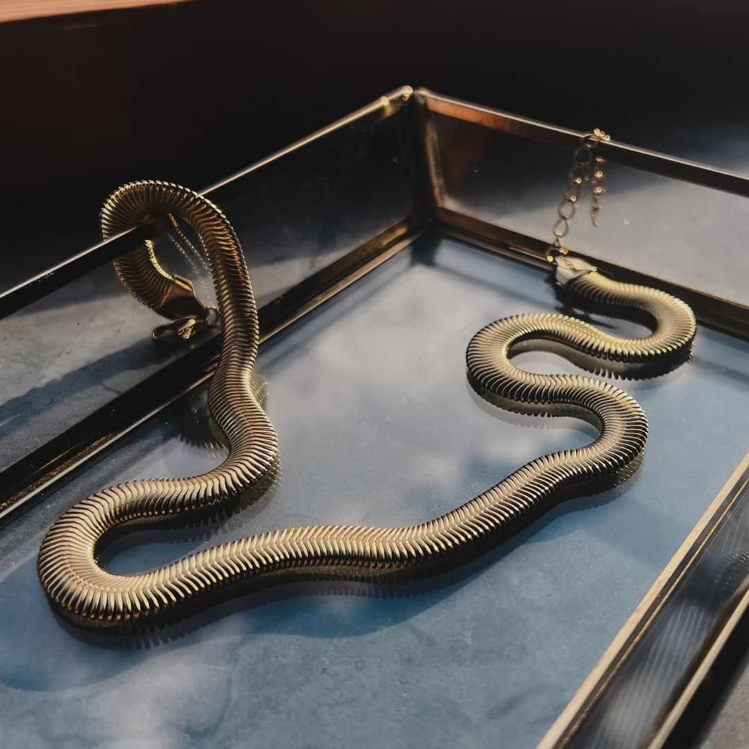 Snake ketting | Chunky stijl | Stainless steel sieraden | By Frances Falicia