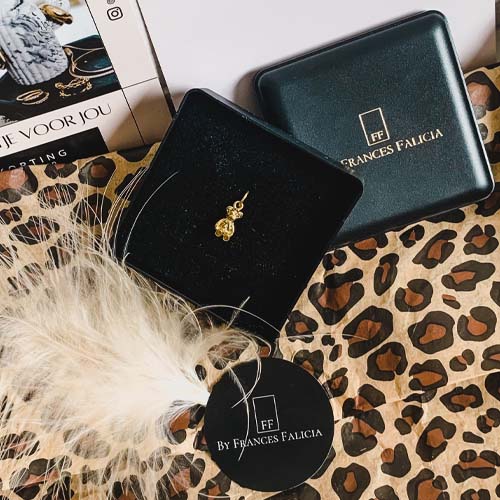 teddybeer bedel | Frances Falicia