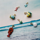 The Charm Bar | Charms | Bedels | Sealife Charms | Sieraden By Frances Falicia
