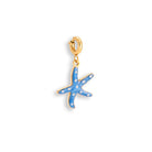 Seaside Star Charm | Zeester bedel | The Charm Bar | Sieraden By Frances Falicia