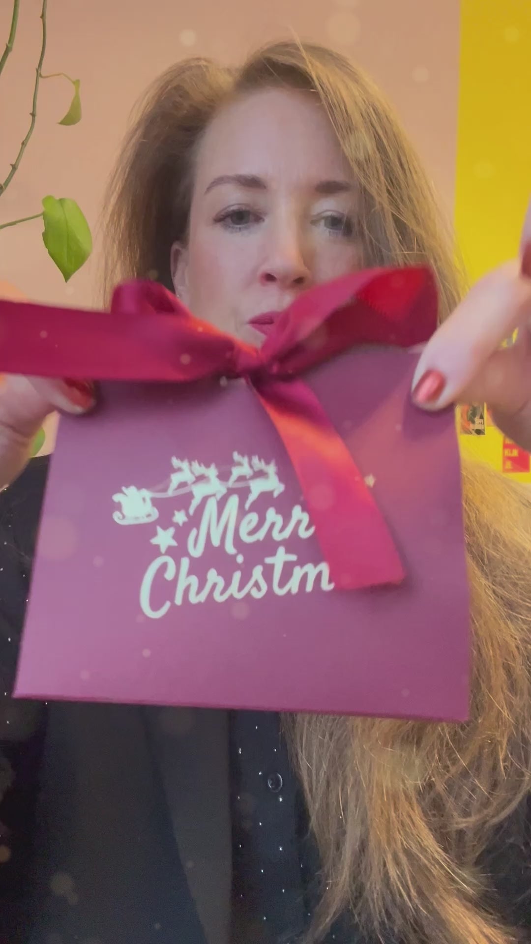 The Charm Bar | Christmas Edit | The Holiday Edit | Charms | Bedels | Sieraden By Frances Falicia